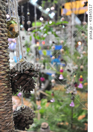 Hanging Pine 45845517