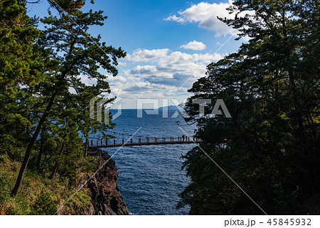 静岡県 城ヶ崎海岸 吊橋 45845932