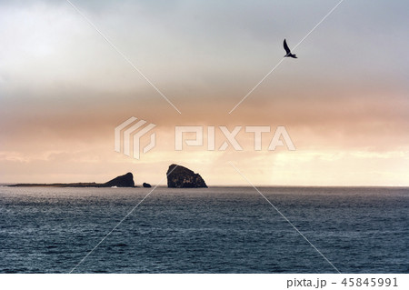 島 サムダド 風景 45845991
