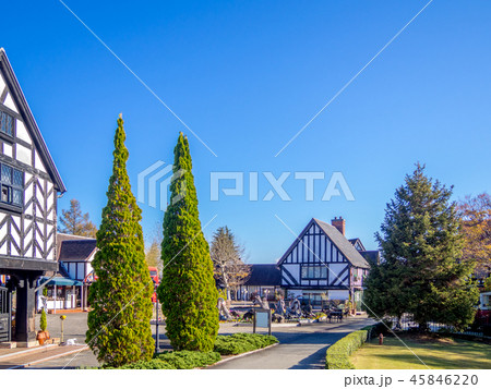 【静岡県伊豆市】秋のテーマパークの風景【修善寺虹の郷】 45846220