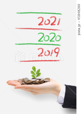 tree grow up in 2019 tree grow up in 2019 45848260