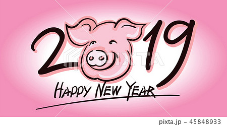 Cute Pig face vector silhouette - 2019 New Year symbol 45848933