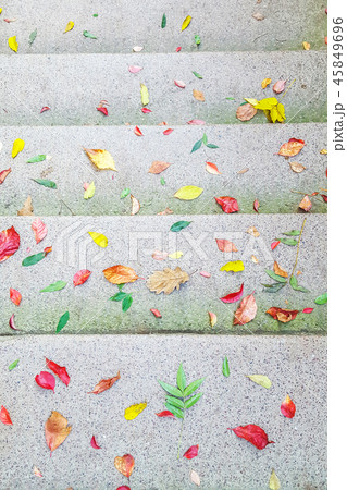 Autumn leaves on concrete stairs as backgrounds Autumn leaves on concrete stairs as backgrounds 45849696