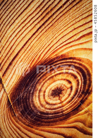 abstract circular lines on the cut of wood abstract circular lines on the cut of wood 45852608