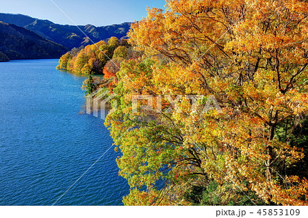 草木湖の秋 草木湖の秋 45853109