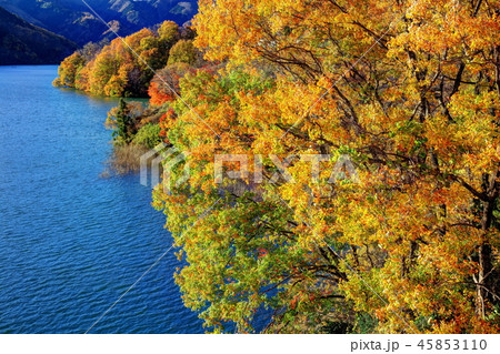 草木湖の秋 45853110
