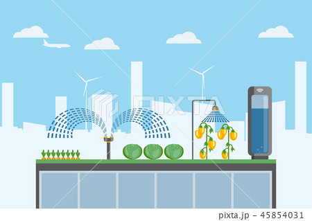 Urban farming on the roof Urban farming on the roof 45854031