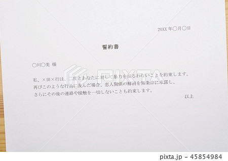 誓約書　（恋人によるDV） 45854984