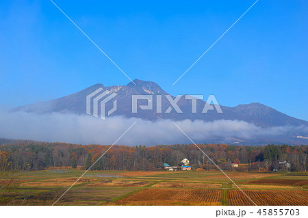 妙高山　晩秋の風景 45855703