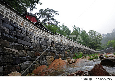 城北区 貞陵 自然 45855795