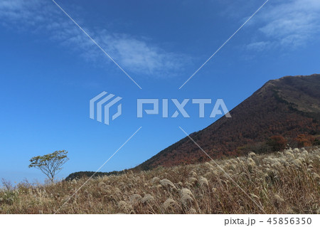 秋の山の景色 45856350