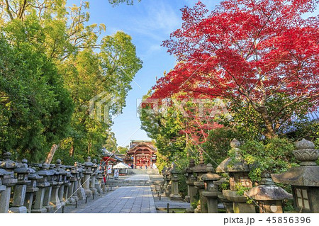 石清水八幡宮 45856396