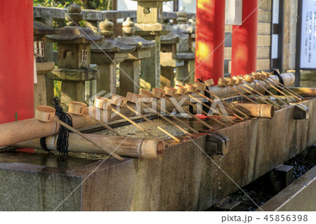 石清水八幡宮 45856398