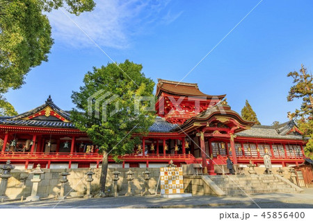 石清水八幡宮 45856400