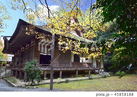 百済寺紅葉 45858188