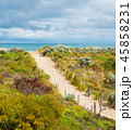 Beautiful scenic view of the dunes 45858231