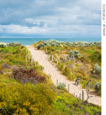 Beautiful scenic view of the dunes 45858231