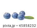 Fresh Blueberries  on white 45858232