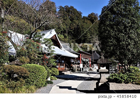太平山神社 太平山神社 45858410
