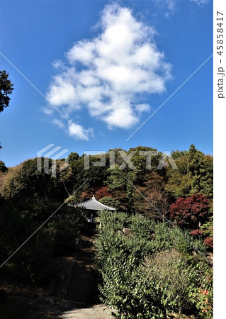 栃木県清水寺の紅葉 栃木県清水寺の紅葉 45858417