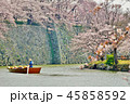 桜の季節 45858592