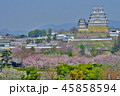 姫路城と桜 45858594