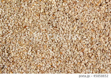ゴマ 穀物 穀類 45858652