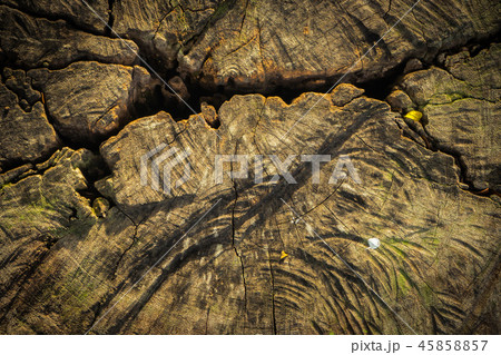 Dark wood texture background surface with old  45858857