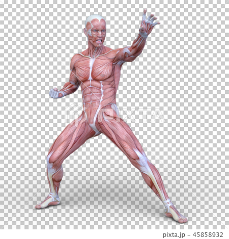 Mannequin Mannequin 45858932