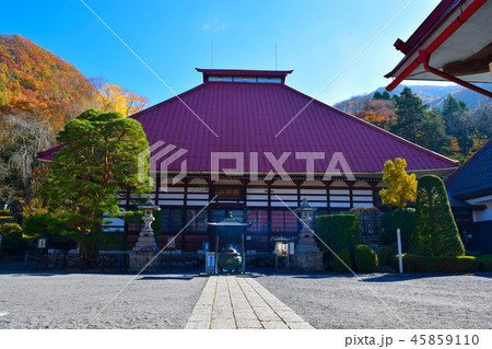 岩松院　小林一茶ゆかりの古寺 45859110