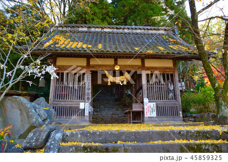浄光寺 山門 浄光寺 山門 45859325