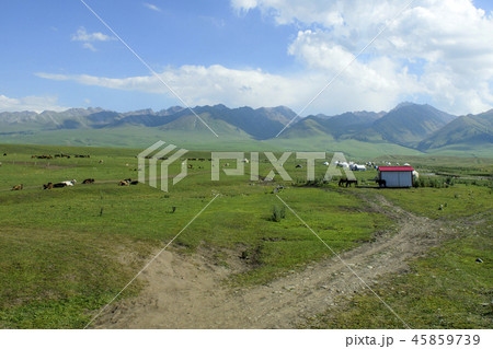 中国の 身長 湿地 45859739