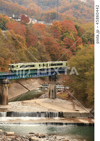 小海線　松原湖～小海 45860442