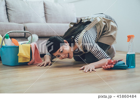 happy housewife satisfied with her housework. happy housewife satisfied with her housework. 45860484