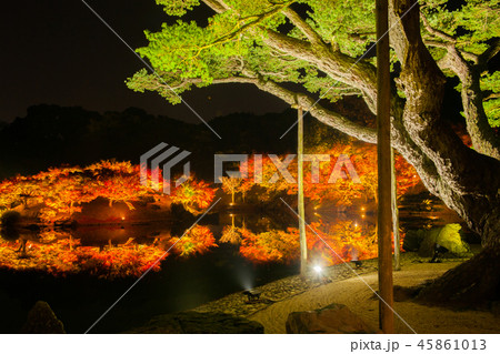 名勝！栗林公園の紅葉 45861013
