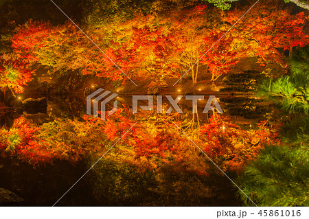 名勝!栗林公園の紅葉 名勝!栗林公園の紅葉 45861016