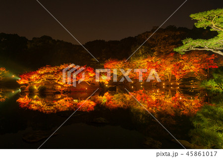 名勝!栗林公園の紅葉 名勝!栗林公園の紅葉 45861017