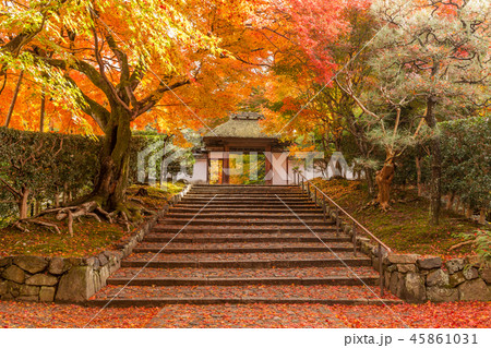 錦秋・京都安楽寺の紅葉! 錦秋・京都安楽寺の紅葉! 45861031