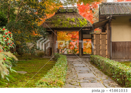 錦秋 京都安楽寺の紅葉 の写真素材