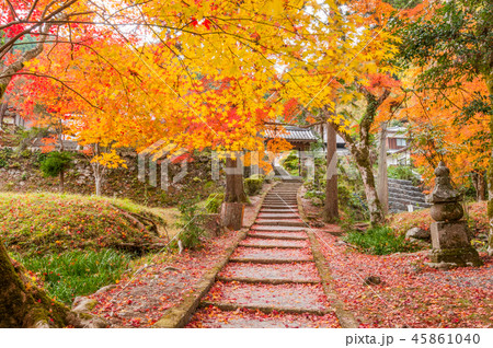 錦秋・京都龍穏寺の散紅葉！ 45861040