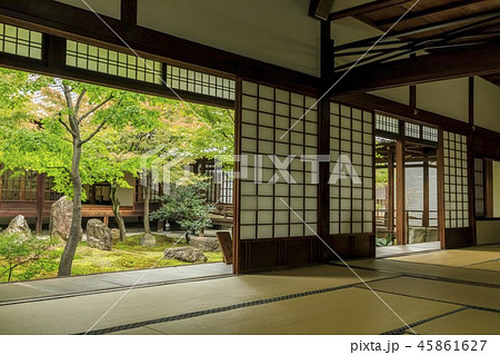 建仁寺　紅葉 45861627