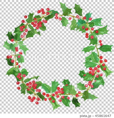 Holly wreath 45861647