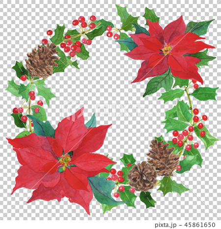 Christmas wreath 45861650