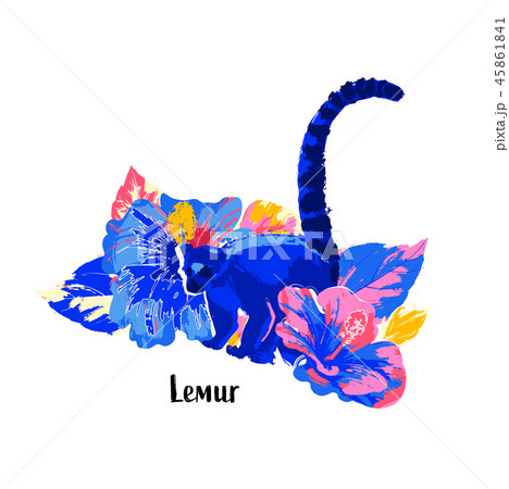 Abstract vector design of wild lemur among the hibiscus flowers. Abstract vector design of wild lemur among the hibiscus flowers. 45861841