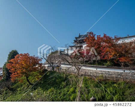 紅葉の福知山城 紅葉の福知山城 45862272