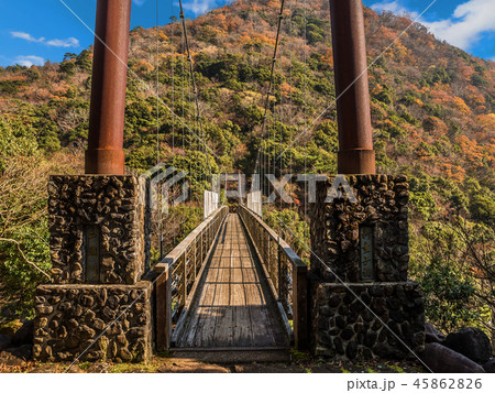紅葉の二瀬川渓谷 紅葉の二瀬川渓谷 45862826