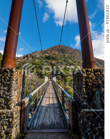 紅葉の二瀬川渓谷 45862835