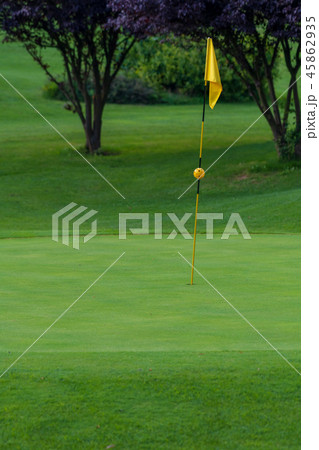 Golf Course, golf green with flag in the hole Golf Course, golf green with flag in the hole 45862935