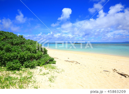 波照間島 ニシ浜 波照間島 ニシ浜 45863209