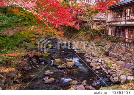 （静岡県）修善寺温泉　桂川の紅葉 45863458